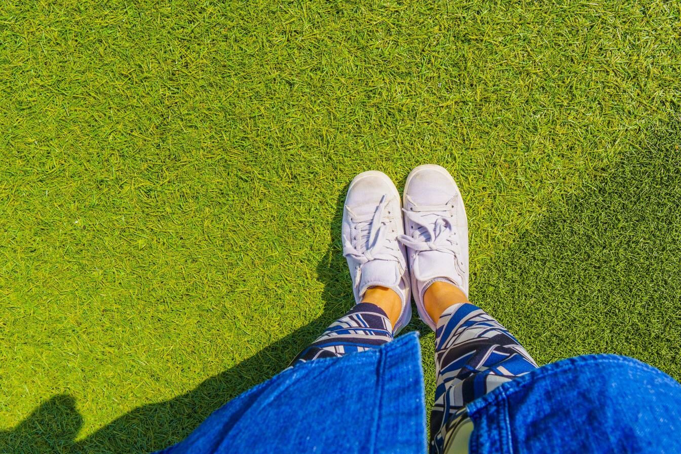AdobeStock_227860074