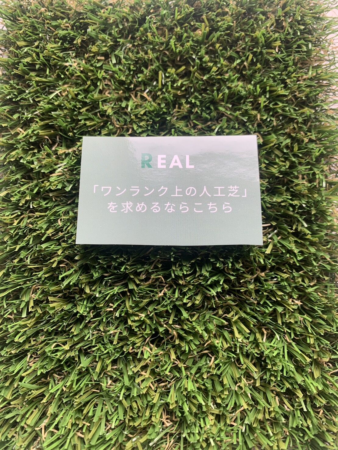S__3964930